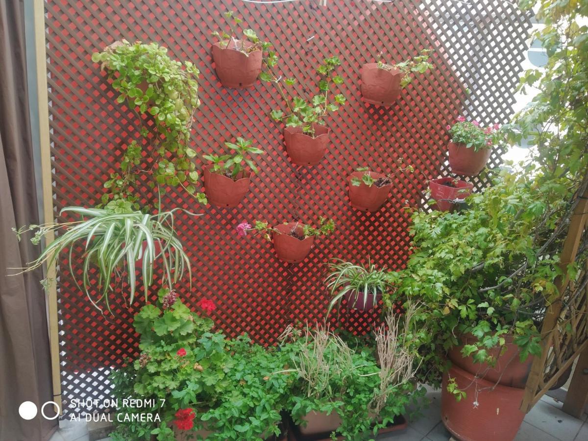 Habitacion Familiar En Un Atico Con Gran Terraza Y,Cocina ,En La Playa Burriana Eksteriør billede
